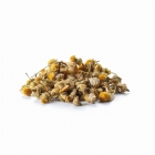 Tee - Camomile Orange lose.jpg